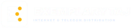 Exemplary Taj LLC